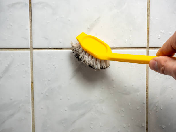 Best Residential Mold Removal  in Nevada, MO