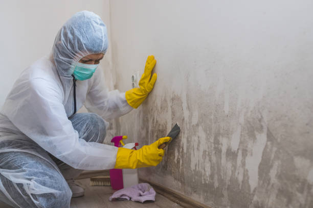 Water Damage Restoration in Nevada, MO