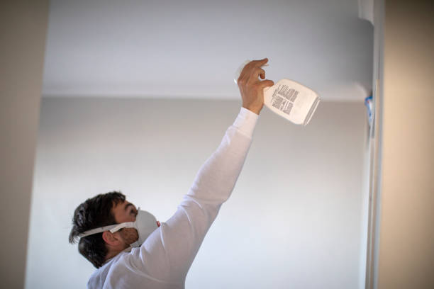 Best Professional Mold Removal  in Nevada, MO