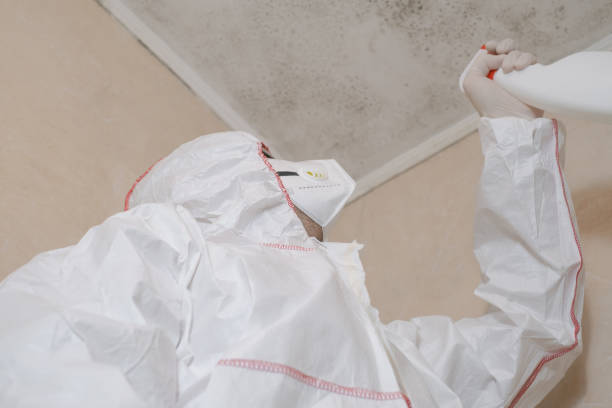 Best Water Damage Restoration  in Nevada, MO