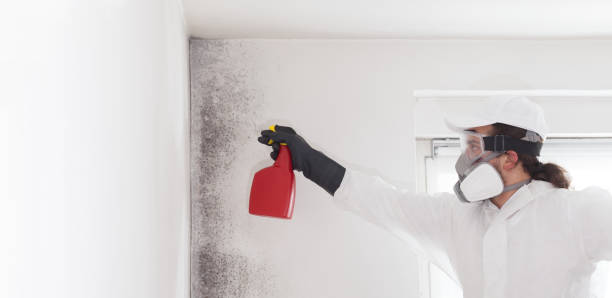 Best Crawl Space Mold Removal  in Nevada, MO